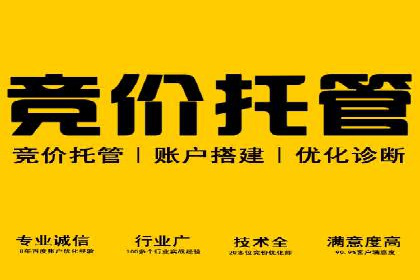 案例分析：SEM服务优化效果显著
